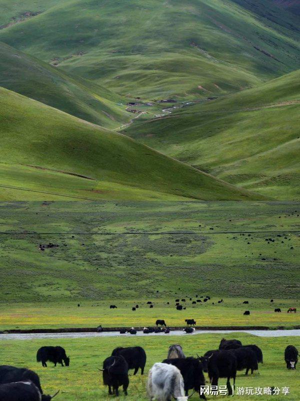 成都旅游6天5夜 超全四川旅行指南！CQ9电子登录注册四川旅游景点大全(图5)